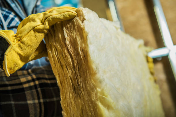 Best Insulation Maintenance and Repair in Englewood, FL